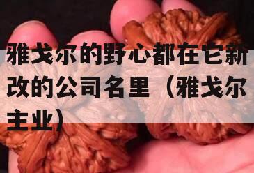 雅戈尔的野心都在它新改的公司名里（雅戈尔主业）