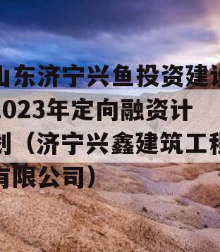 山东济宁兴鱼投资建设2023年定向融资计划（济宁兴鑫建筑工程有限公司）