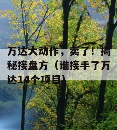 万达大动作，卖了！揭秘接盘方（谁接手了万达14个项目）