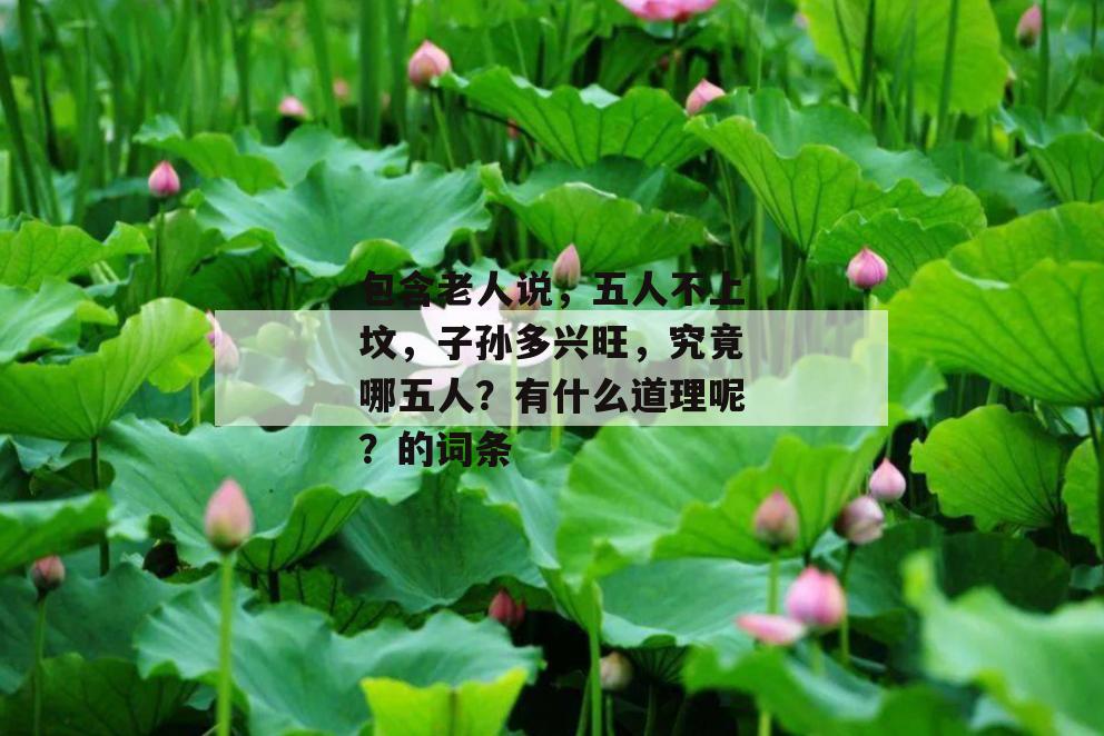 包含老人说，五人不上坟，子孙多兴旺，究竟哪五人？有什么道理呢？的词条