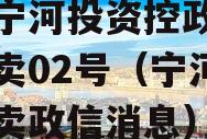 天津宁河投资控政信债权拍卖02号（宁河土地拍卖政信消息）