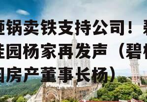 砸锅卖铁支持公司！碧桂园杨家再发声（碧桂园房产董事长杨）