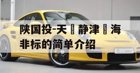 陕国投-天‮静津‬海非标的简单介绍