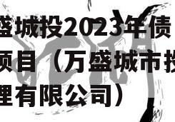 万盛城投2023年债权项目（万盛城市投资管理有限公司）