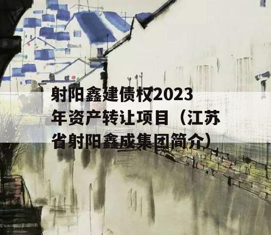 射阳鑫建债权2023年资产转让项目（江苏省射阳鑫成集团简介）