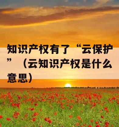 知识产权有了“云保护”（云知识产权是什么意思）