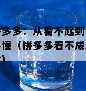 拼多多：从看不起到看不懂（拼多多看不成政信）