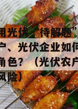 户用光伏“待解题”：农户、光伏企业如何厘清角色？（光伏农户有无风险）