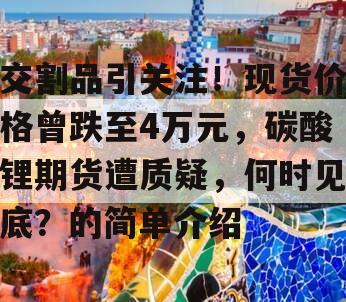 交割品引关注！现货价格曾跌至4万元，碳酸锂期货遭质疑，何时见底？的简单介绍