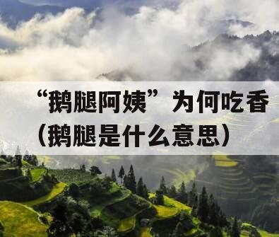 “鹅腿阿姨”为何吃香（鹅腿是什么意思）