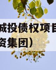 万盛城投债权项目（万盛投资集团）