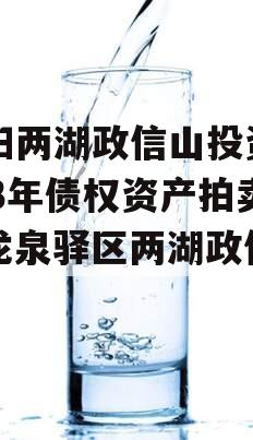 简阳两湖政信山投资2023年债权资产拍卖（龙泉驿区两湖政信山）