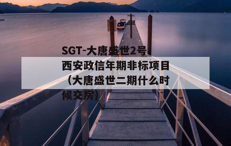 SGT-大唐盛世2号西安政信年期非标项目（大唐盛世二期什么时候交房）