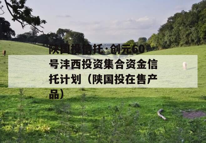 陕国投信托·创元60号沣西投资集合资金信托计划（陕国投在售产品）
