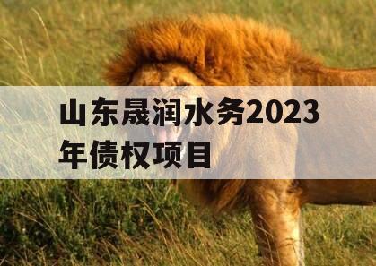 山东晟润水务2023年债权项目