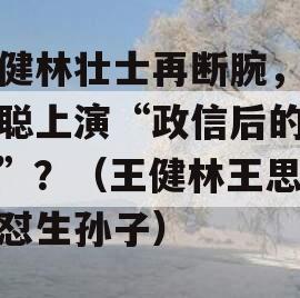 王健林壮士再断腕，王思聪上演“政信后的倔强”？（王健林王思聪怒怼生孙子）