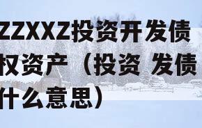 ZZXXZ投资开发债权资产（投资 发债 什么意思）