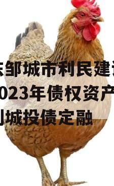 山东邹城市利民建设发展2023年债权资产计划城投债定融