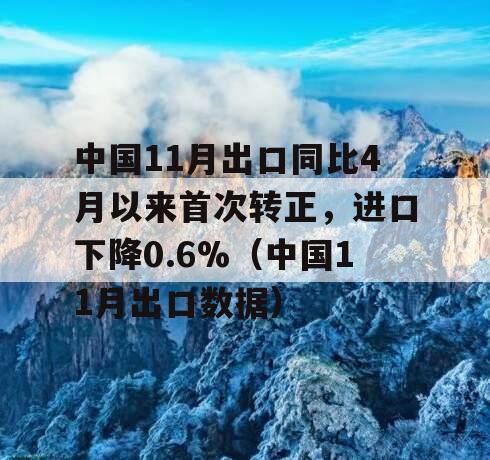 中国11月出口同比4月以来首次转正，进口下降0.6%（中国11月出口数据）