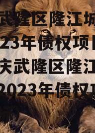 重庆武隆区隆江城市建设2023年债权项目（重庆武隆区隆江城市建设2023年债权项目招标）