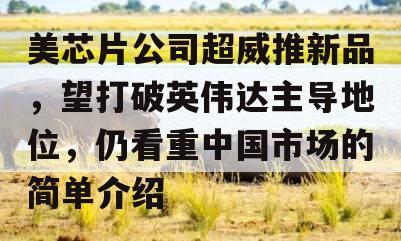 美芯片公司超威推新品，望打破英伟达主导地位，仍看重中国市场的简单介绍