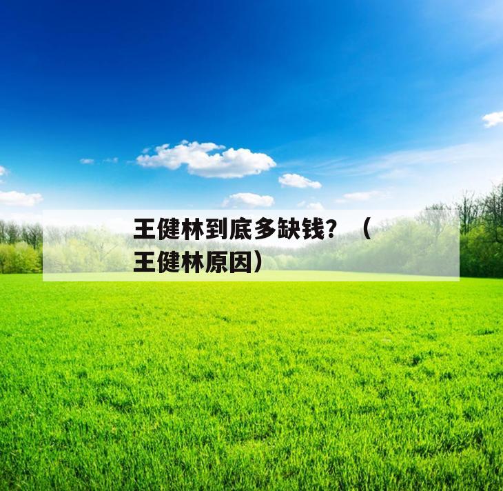 王健林到底多缺钱？（王健林原因）