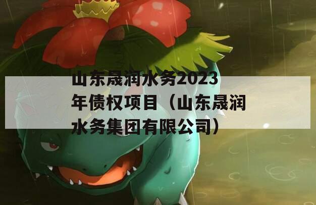 山东晟润水务2023年债权项目（山东晟润水务集团有限公司）