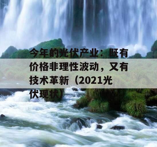 今年的光伏产业：既有价格非理性波动，又有技术革新（2021光伏现状）