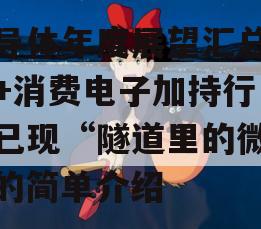 半导体年度展望汇总：AI+消费电子加持行业已现“隧道里的微光”的简单介绍