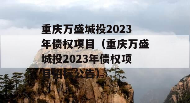 重庆万盛城投2023年债权项目（重庆万盛城投2023年债权项目招标公告）