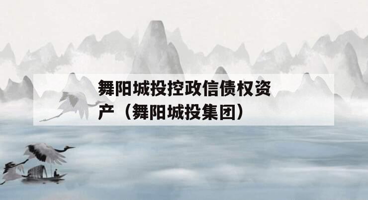 舞阳城投控政信债权资产（舞阳城投集团）