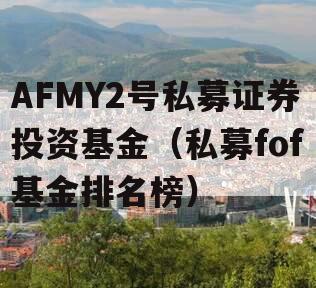 AFMY2号私募证券投资基金（私募fof基金排名榜）