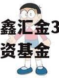 沃隆创鑫汇金3号私募证券投资基金