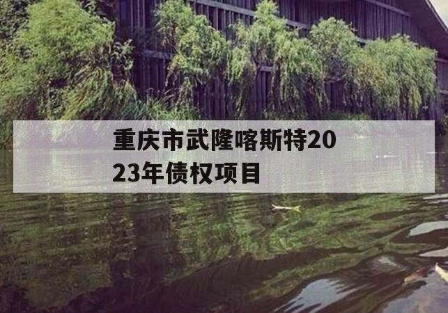 重庆市武隆喀斯特2023年债权项目