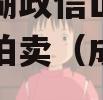 简阳两湖政信山投资债权资产拍卖（成都两湖政信山）