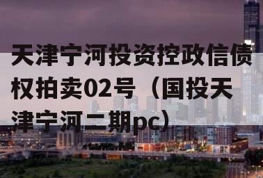 天津宁河投资控政信债权拍卖02号（国投天津宁河二期pc）
