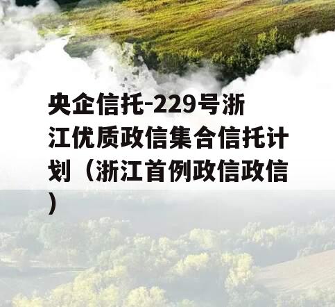 央企信托-229号浙江优质政信集合信托计划（浙江首例政信政信）