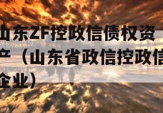 山东ZF控政信债权资产（山东省政信控政信企业）
