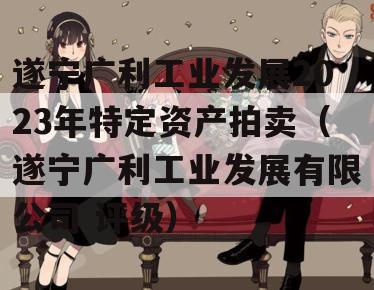 遂宁广利工业发展2023年特定资产拍卖（遂宁广利工业发展有限公司 评级）