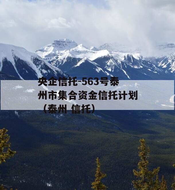 央企信托-563号泰州市集合资金信托计划（泰州 信托）