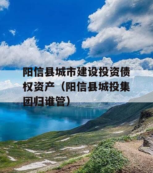 阳信县城市建设投资债权资产（阳信县城投集团归谁管）