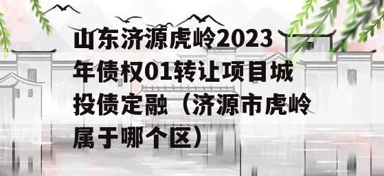 山东济源虎岭2023年债权01转让项目城投债定融（济源市虎岭属于哪个区）