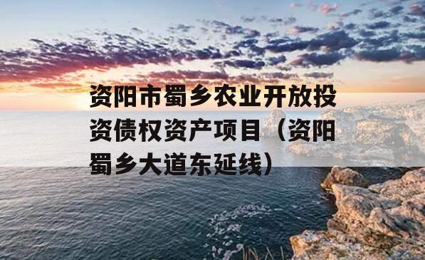 资阳市蜀乡农业开放投资债权资产项目（资阳蜀乡大道东延线）