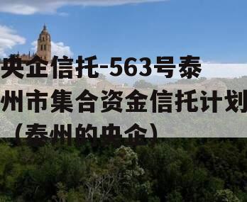 央企信托-563号泰州市集合资金信托计划（泰州的央企）