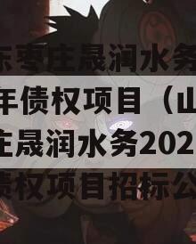 山东枣庄晟润水务2023年债权项目（山东枣庄晟润水务2023年债权项目招标公告）