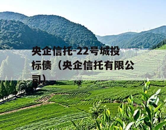 央企信托-22号城投标债（央企信托有限公司）