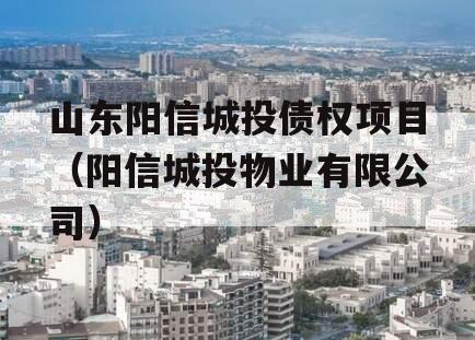 山东阳信城投债权项目（阳信城投物业有限公司）