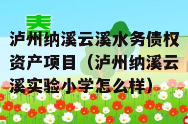 泸州纳溪云溪水务债权资产项目（泸州纳溪云溪实验小学怎么样）