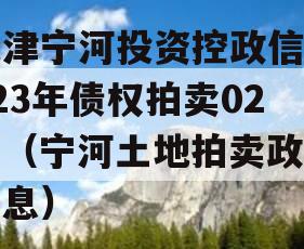 天津宁河投资控政信2023年债权拍卖02号（宁河土地拍卖政信消息）