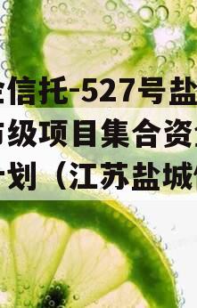 央企信托-527号盐城市级项目集合资金信托计划（江苏盐城信托）
